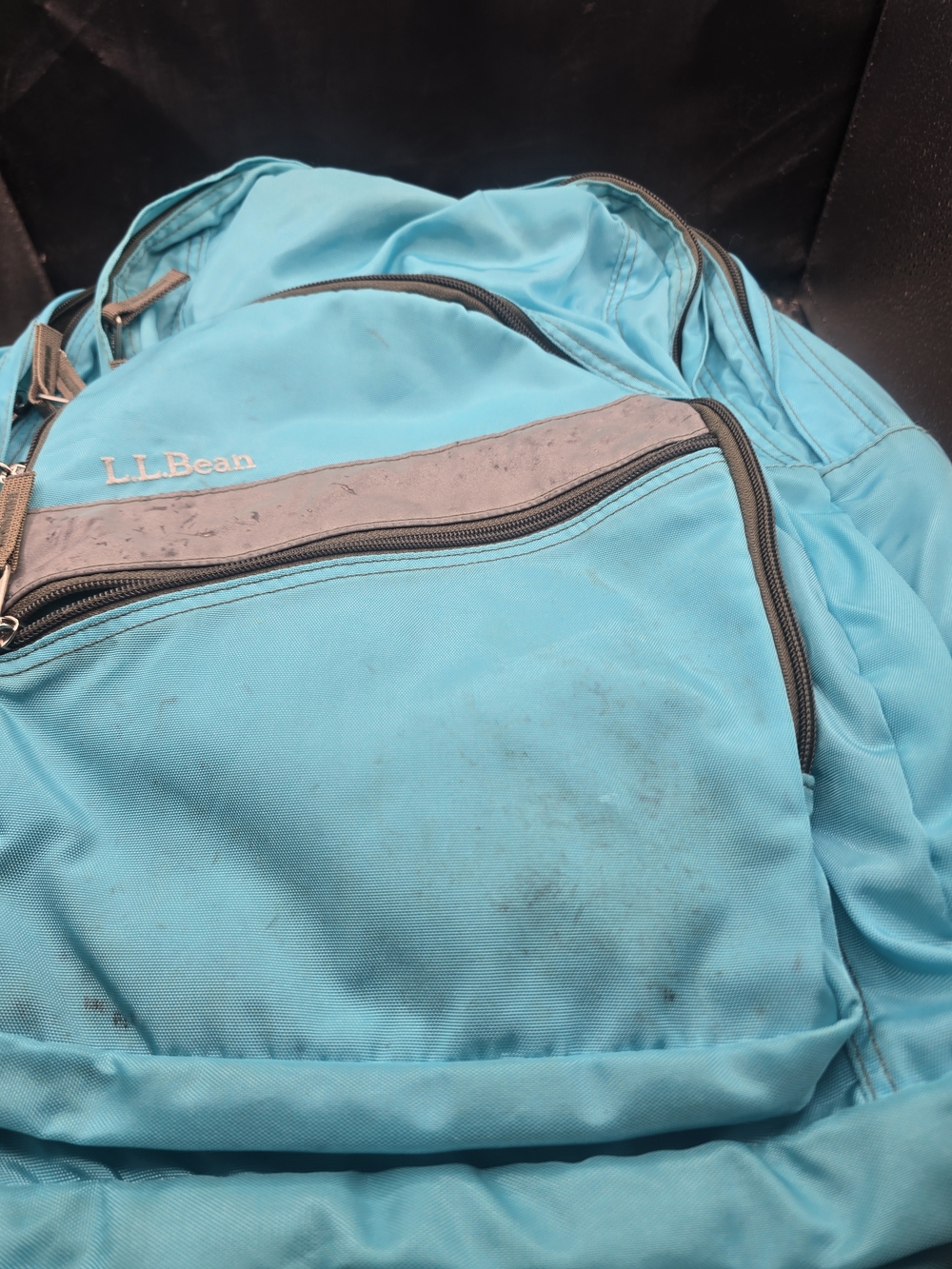 L.L. Bean Men's Aqua Backpack - Teal Blue